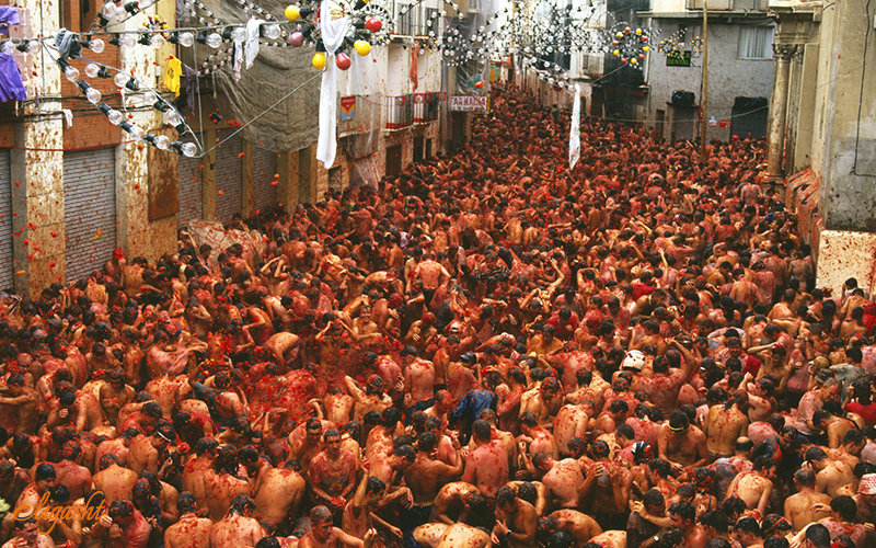 La tomatina La tomatina