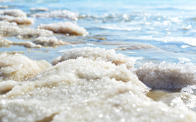Sea-Salt Sea-Salt