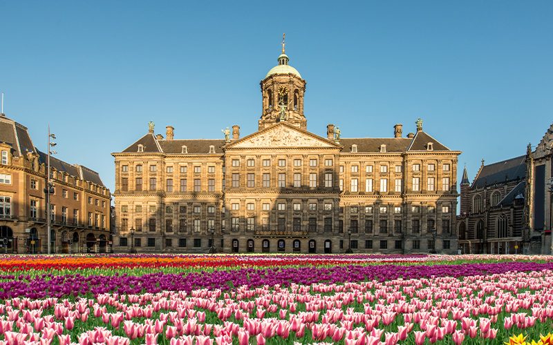 Tulip-Day-Festival Tulip-Day-Festival