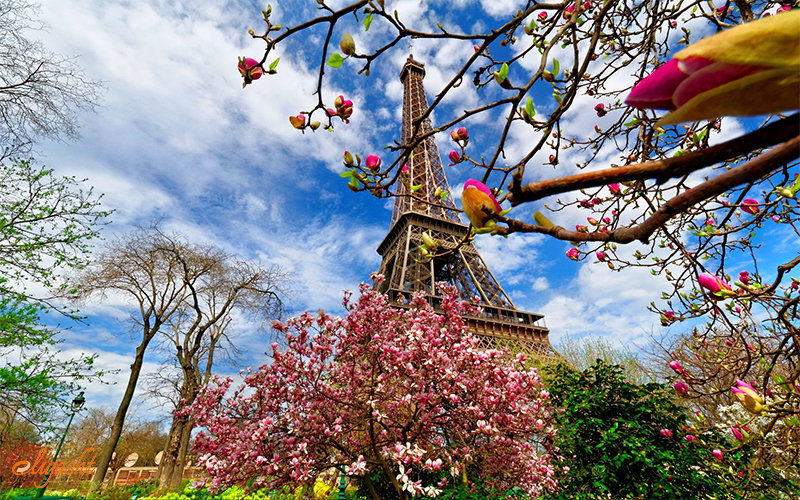 eiffel tower spring eiffel tower spring