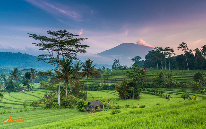 Spectacular bali Spectacular bali
