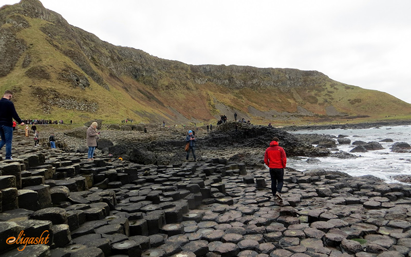 The Giant's Causeway The Giant's Causeway