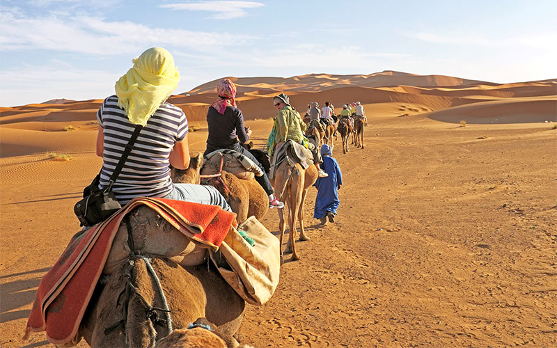 3.-Camel-Safari 3.-Camel-Safari