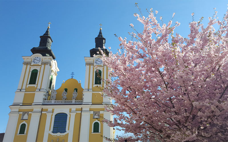 6-Székesfehérvár 6-Székesfehérvár