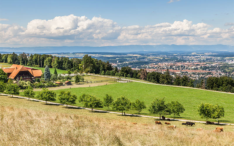 6.-Gurten 6.-Gurten
