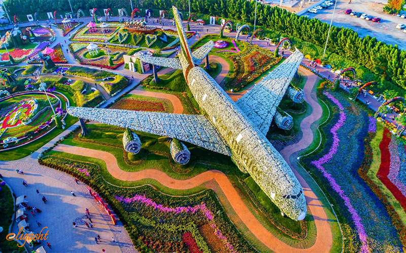 scenic Dubai Miracle Garden scenic Dubai Miracle Garden