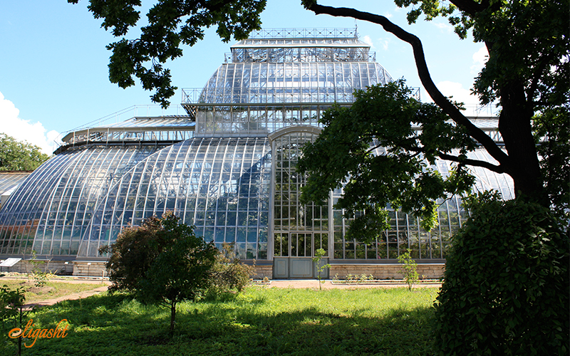 Botanical garden and the greenhouse Botanical garden and the greenhouse
