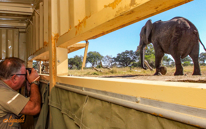 Hwange National Park Hwange National Park