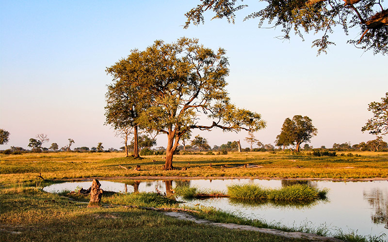Hwange-National-Park Hwange-National-Park