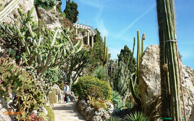 Jardin Exotique Jardin Exotique