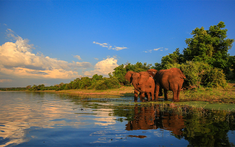 Kruger-National-Park Kruger-National-Park