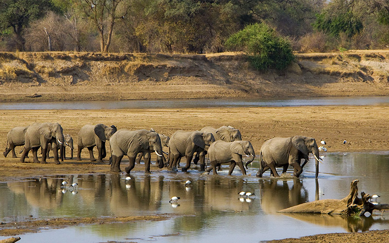 Luangwa-river-in-Zambia Luangwa-river-in-Zambia
