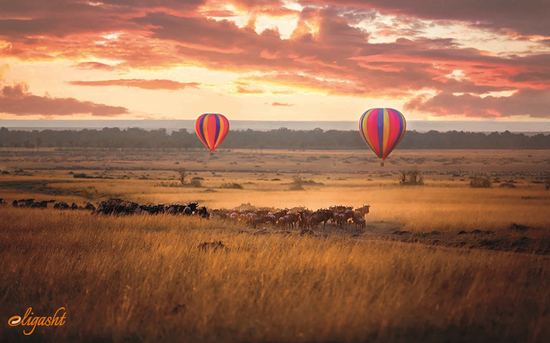 Maasai Mara Maasai Mara