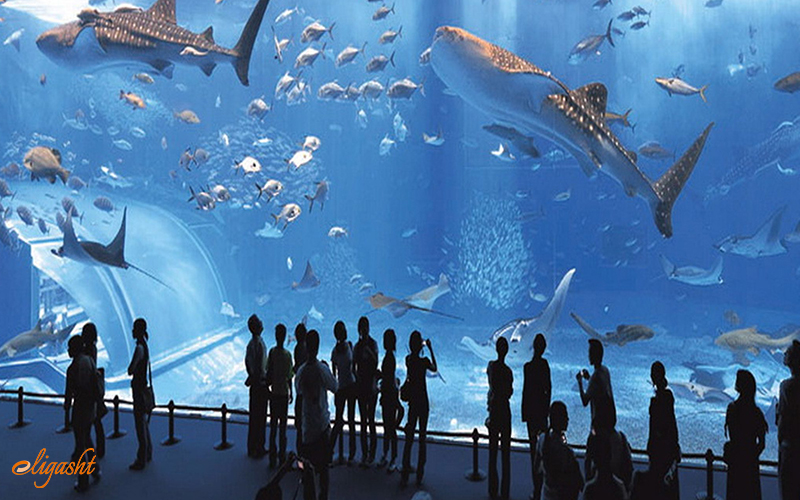 Oceanographic Museum Oceanographic Museum