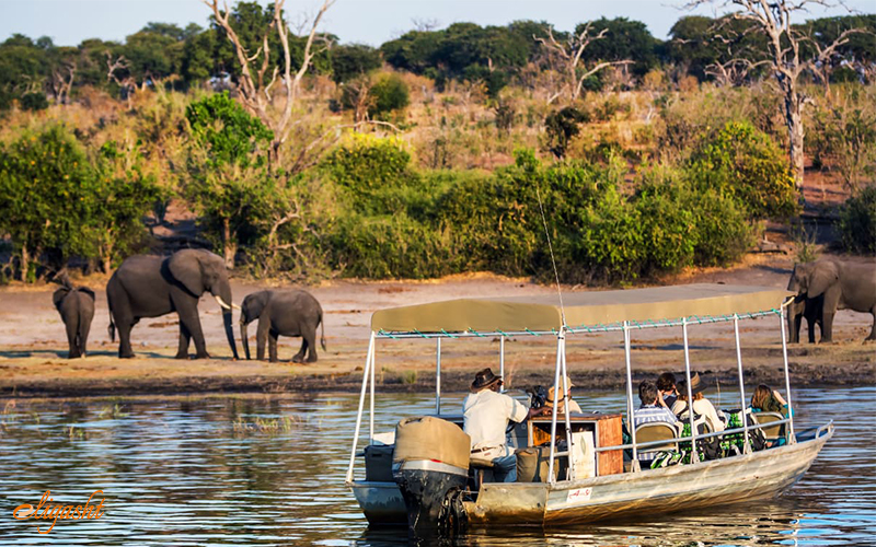 chobe national park chobe national park