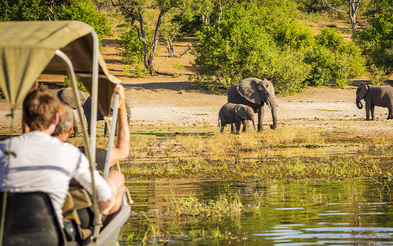safari-in-Botswana safari-in-Botswana