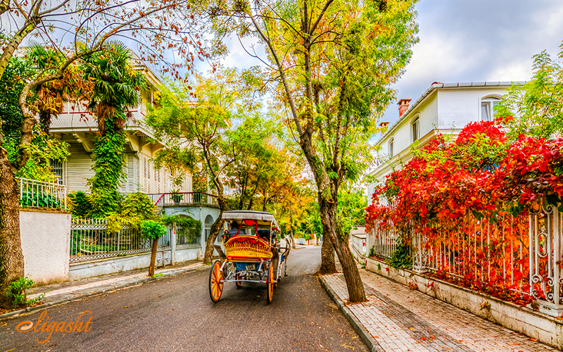 Büyükada