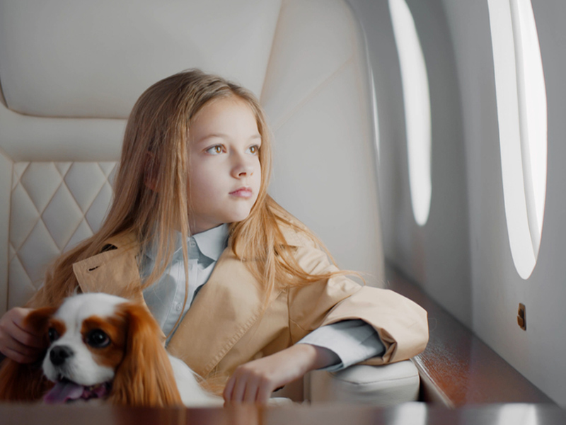 Rules for transporting animals by plane to Iran