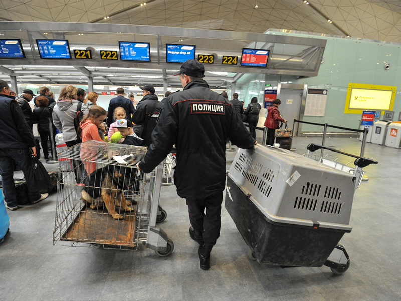 Rules for travel with pets by Iran Air flight