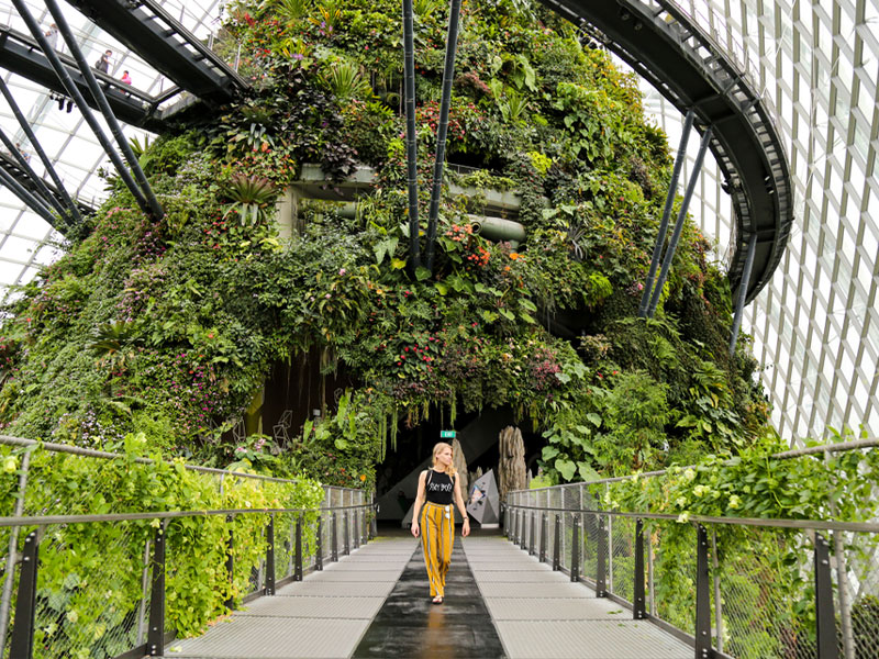 Singapore Botanic Gardens