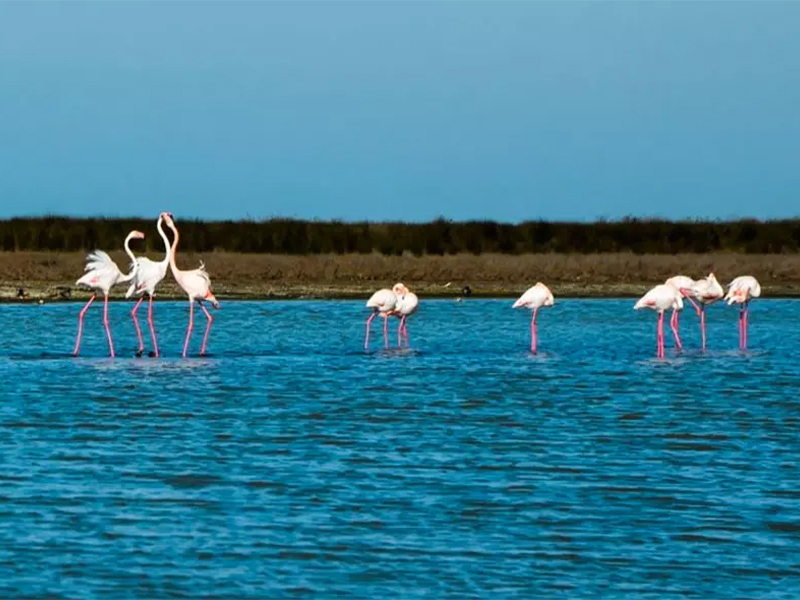 Nature tourism in Iran