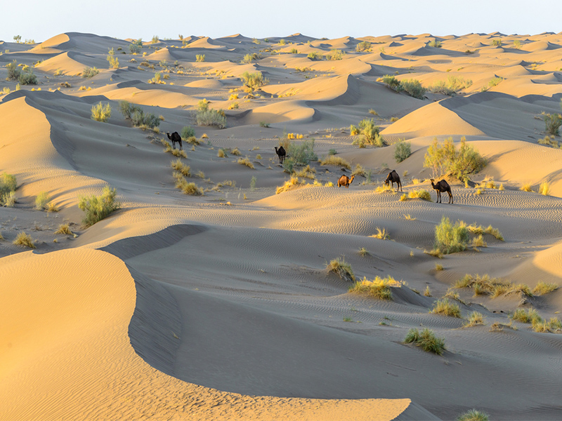 Maranjab Desert