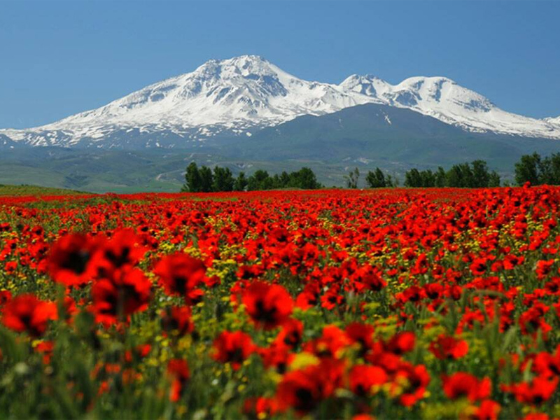 Winter Destinations in Iran
