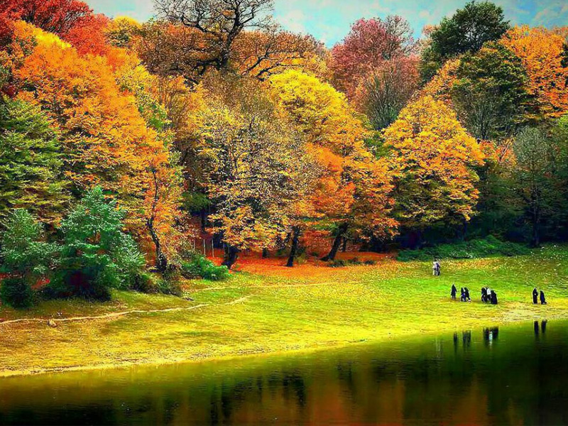 beautiful forests in northern Iran