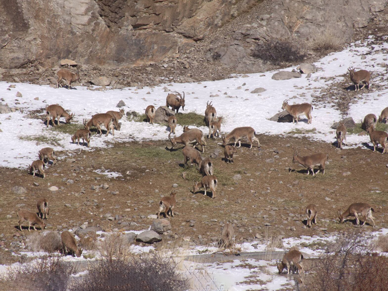 Parvar Protected Area