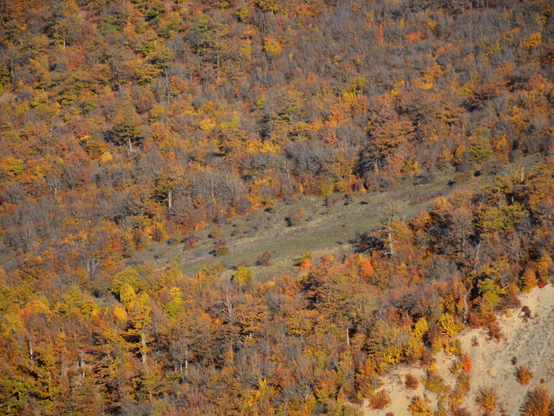 Parvar Protected Area