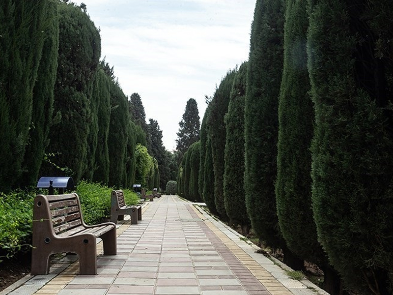  Tehran Parks
