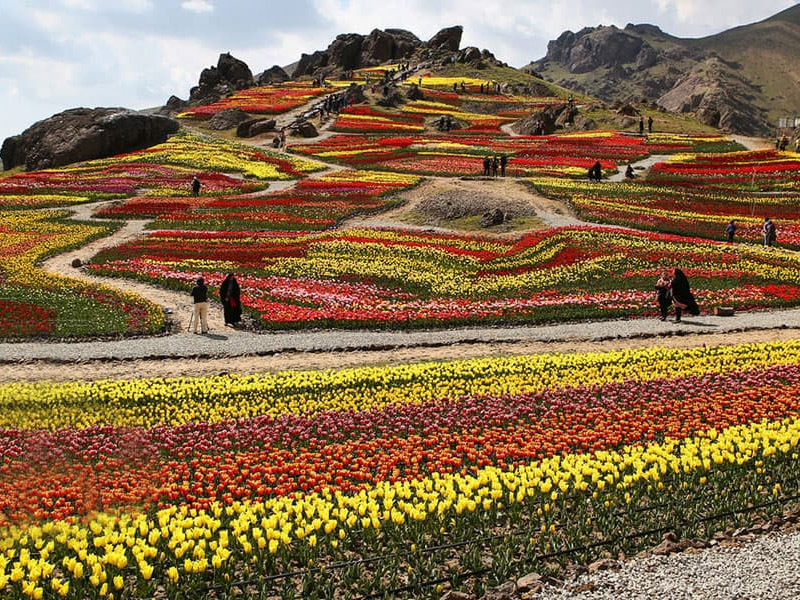 Iranian flower valleys
