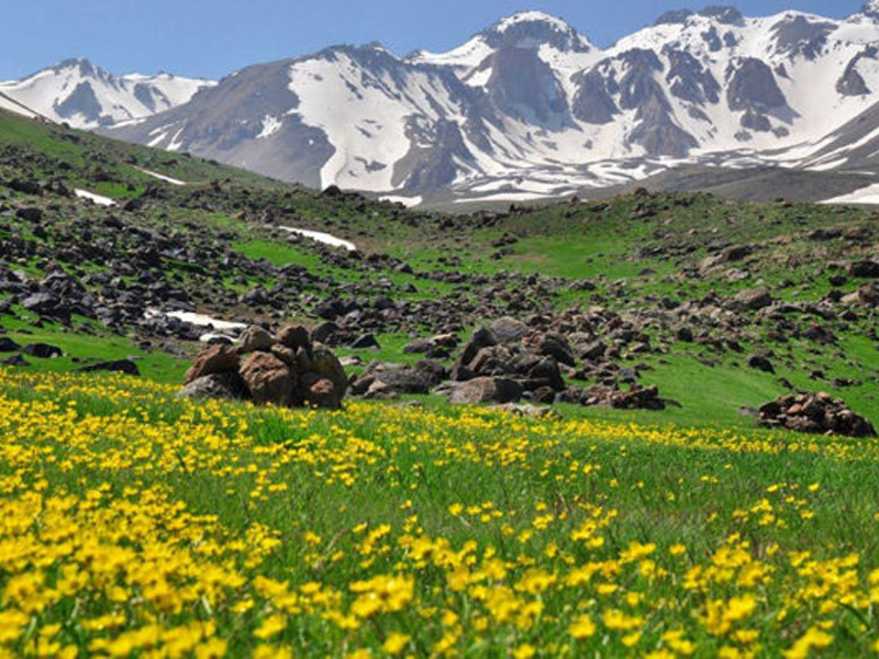 Travel guide to Sareyn