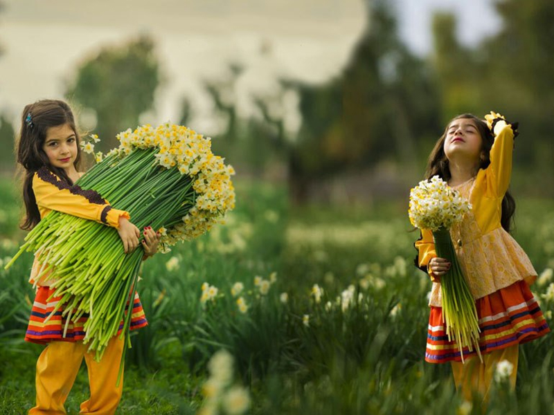 Iranian flower valleys