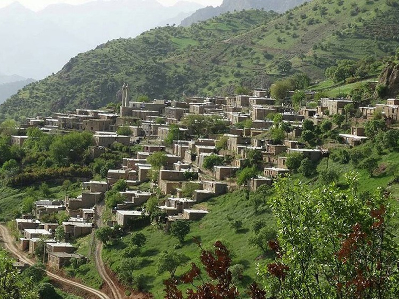 Dal Village