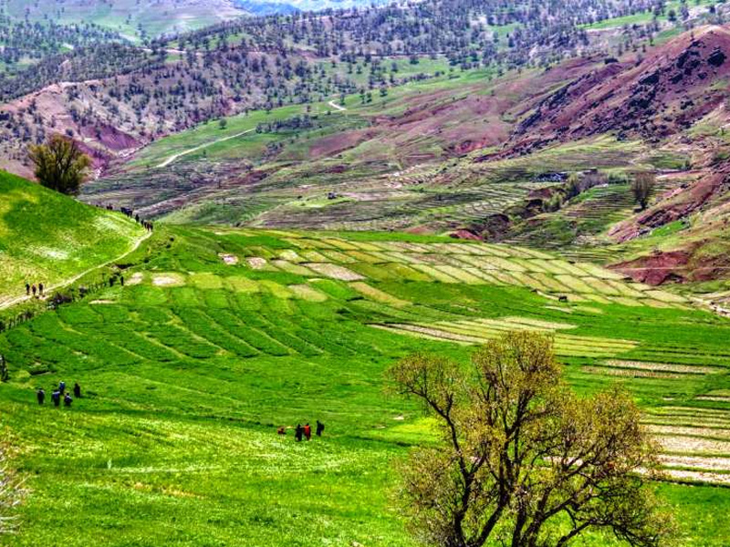 top summer destinations in Iran