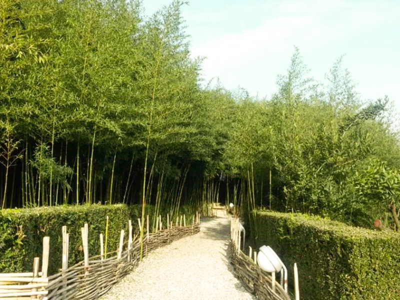 Ramsar Bamboo Garden