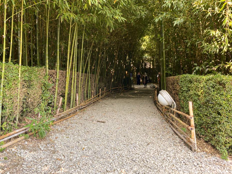 Ramsar Bamboo Garden