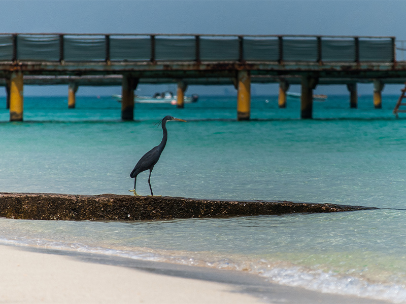 kish island