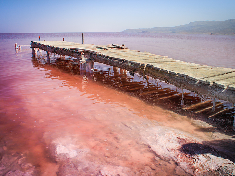 pink lake urmia