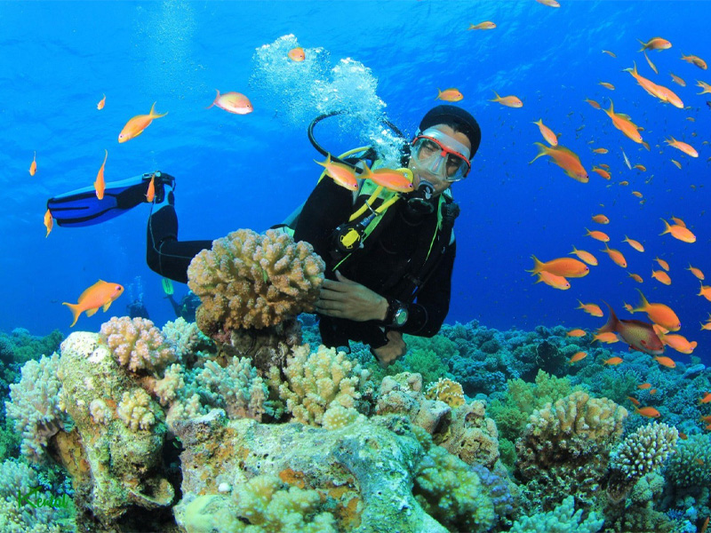kish island