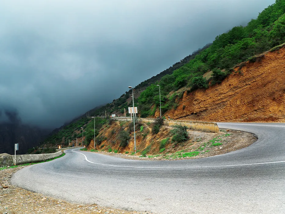 Hyrcanian jungles of Iran