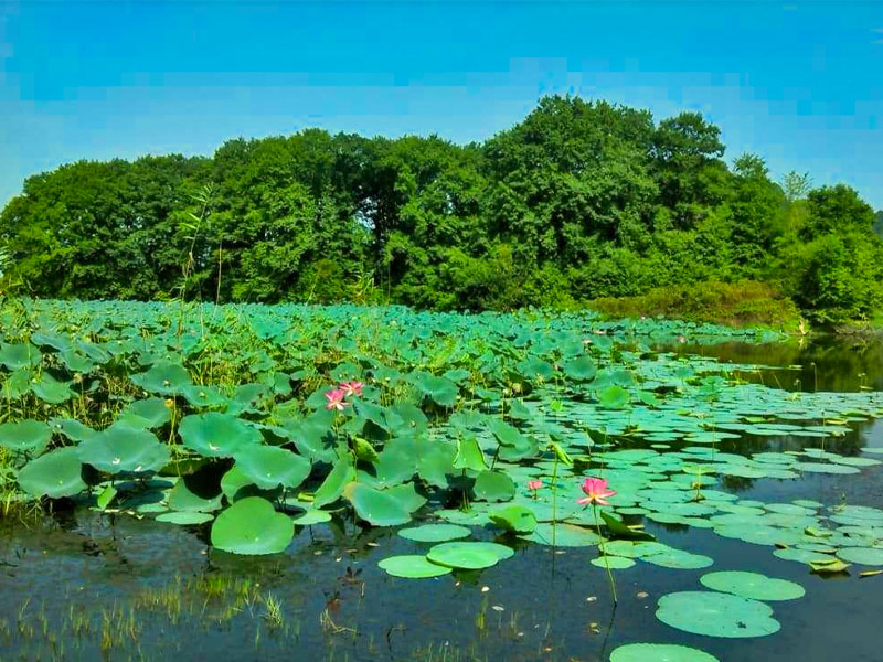iran nature