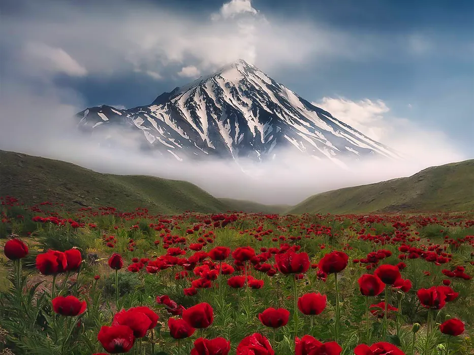 iran damavand