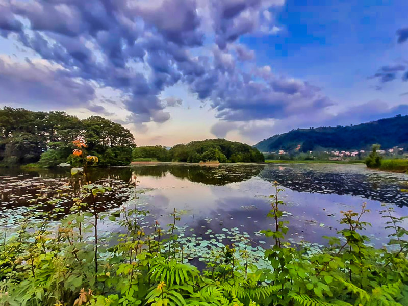 gilan lagoon
