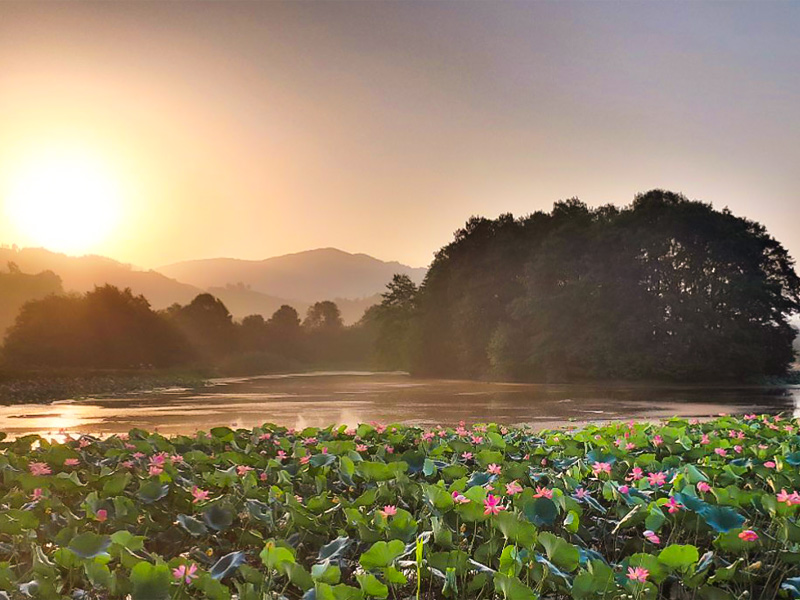 gilan lagoon