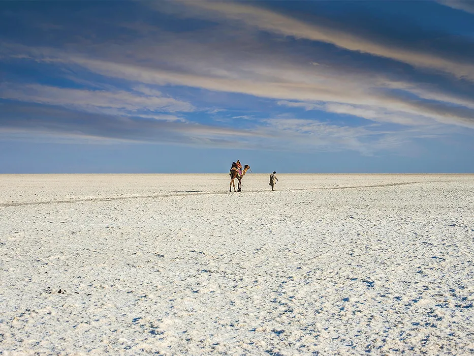 Salt Desert of India