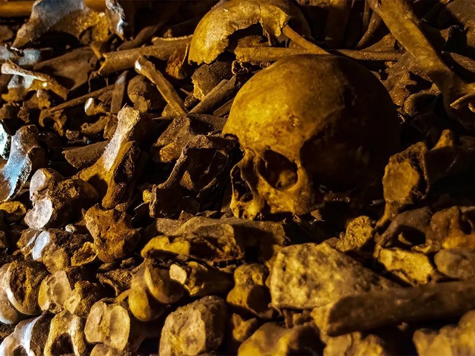 catacombs of Paris