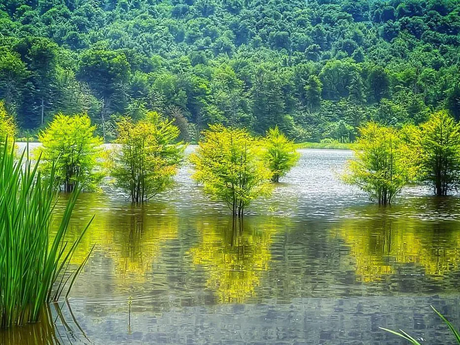Lake Alandan