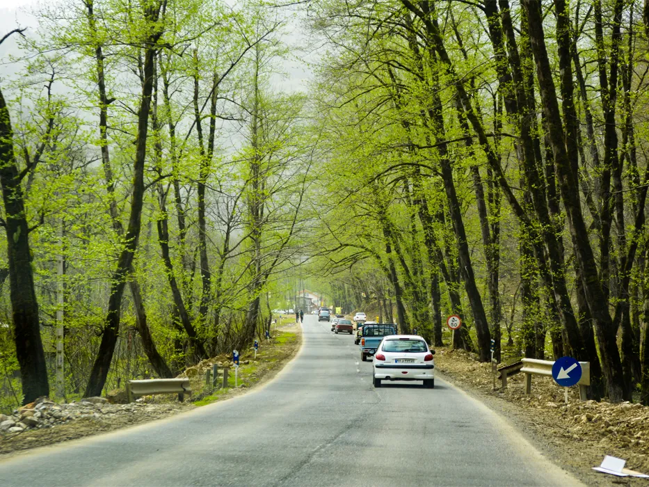 forests in Tonekabon